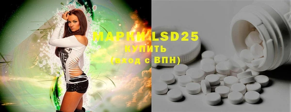 амф Новодвинск