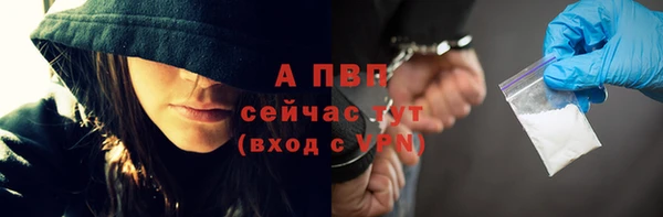 амф Новодвинск