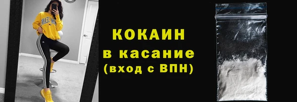 амф Новодвинск