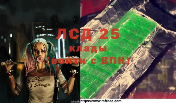амф Новодвинск
