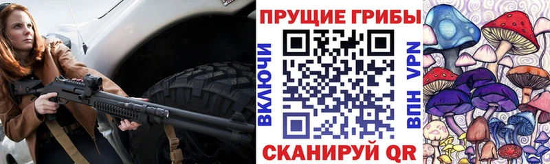 купить наркоту  Пудож  Псилоцибиновые грибы ЛСД 